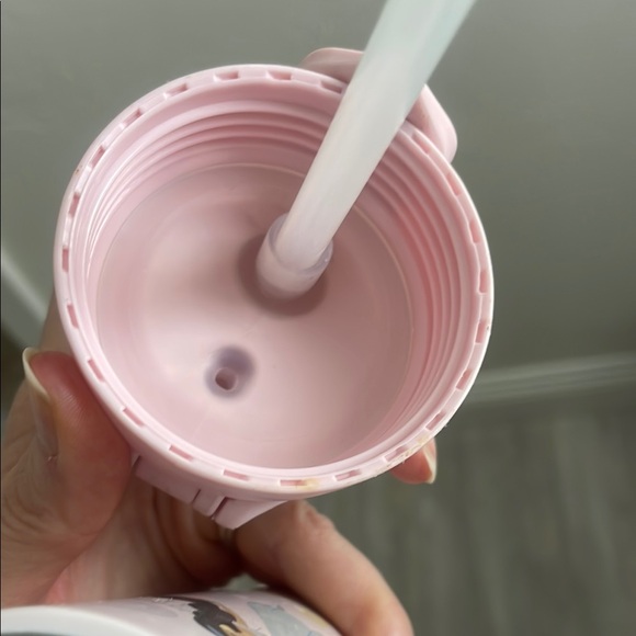 Pottery Barn Kids Disney Princess Pink Lunch Bag and Water Bottle Set - Picture 13 of 14